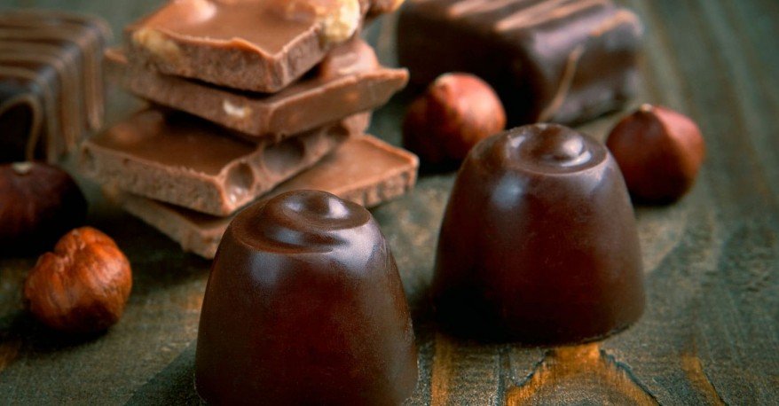 Where to find the Manufacturer of Fruit Pulp <br /><strong>for the Chocolate Industry?</strong>